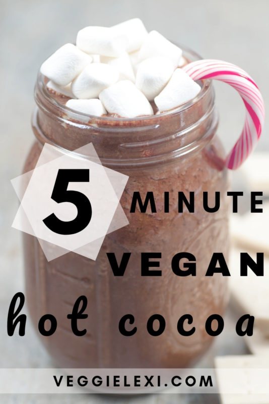 Delicious 5 Minute Vegan Dairy Free Hot Chocolate - by Veggie Lexi